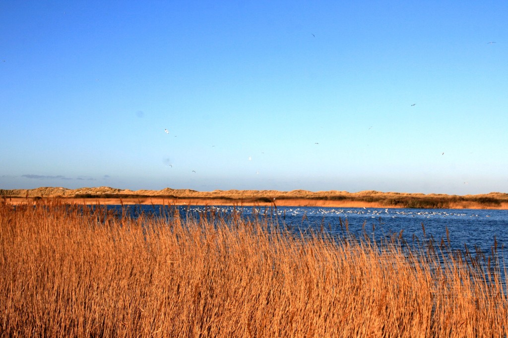 Ameland_I