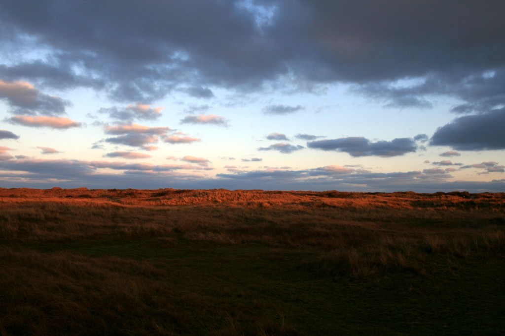 Morgenspaziergang in den Dünen